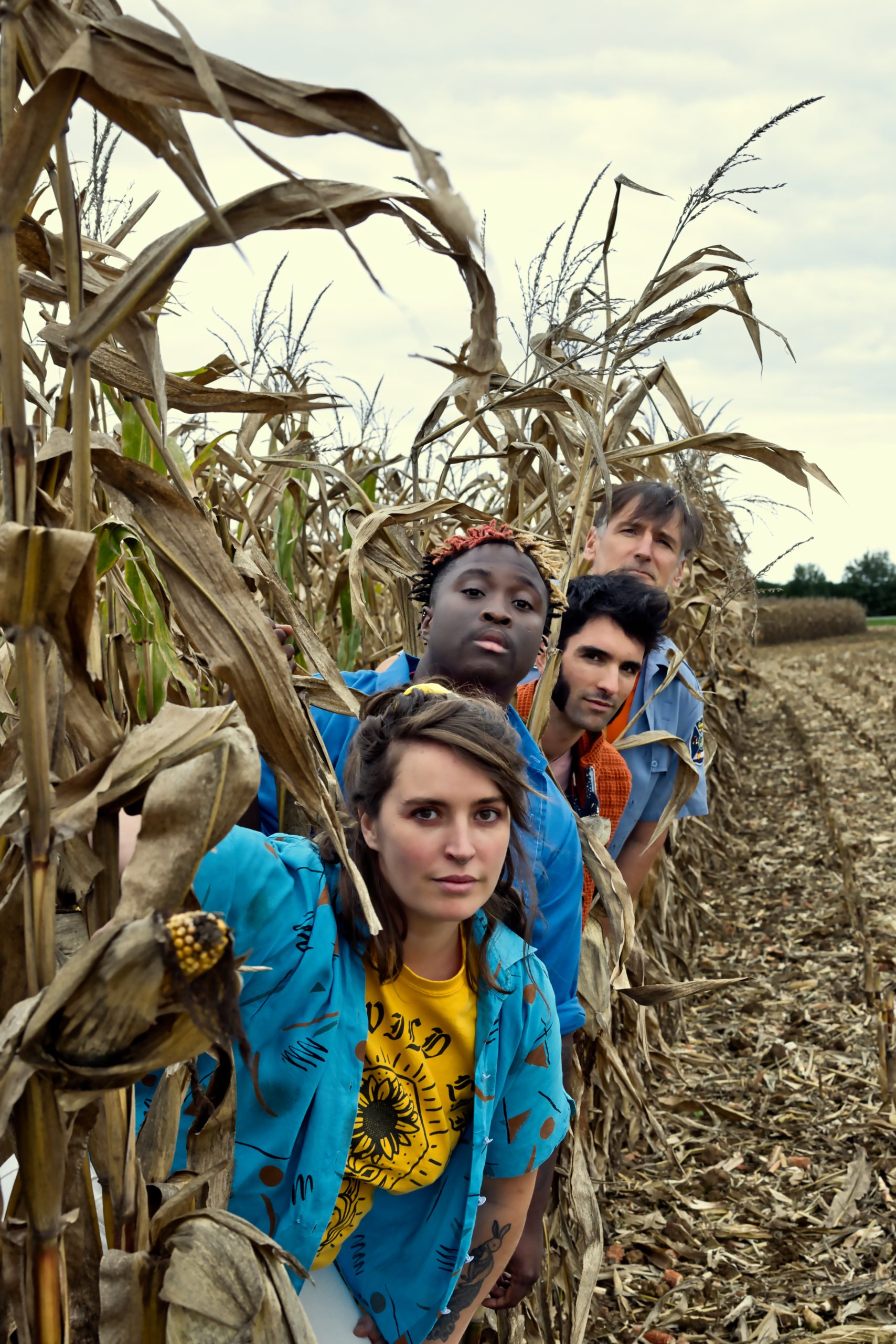 Perdrix Pop Paradiso